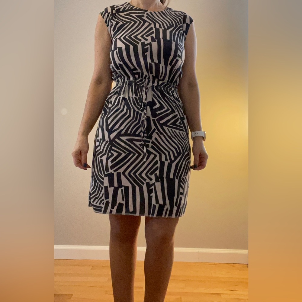 Ann Taylor Loft dress